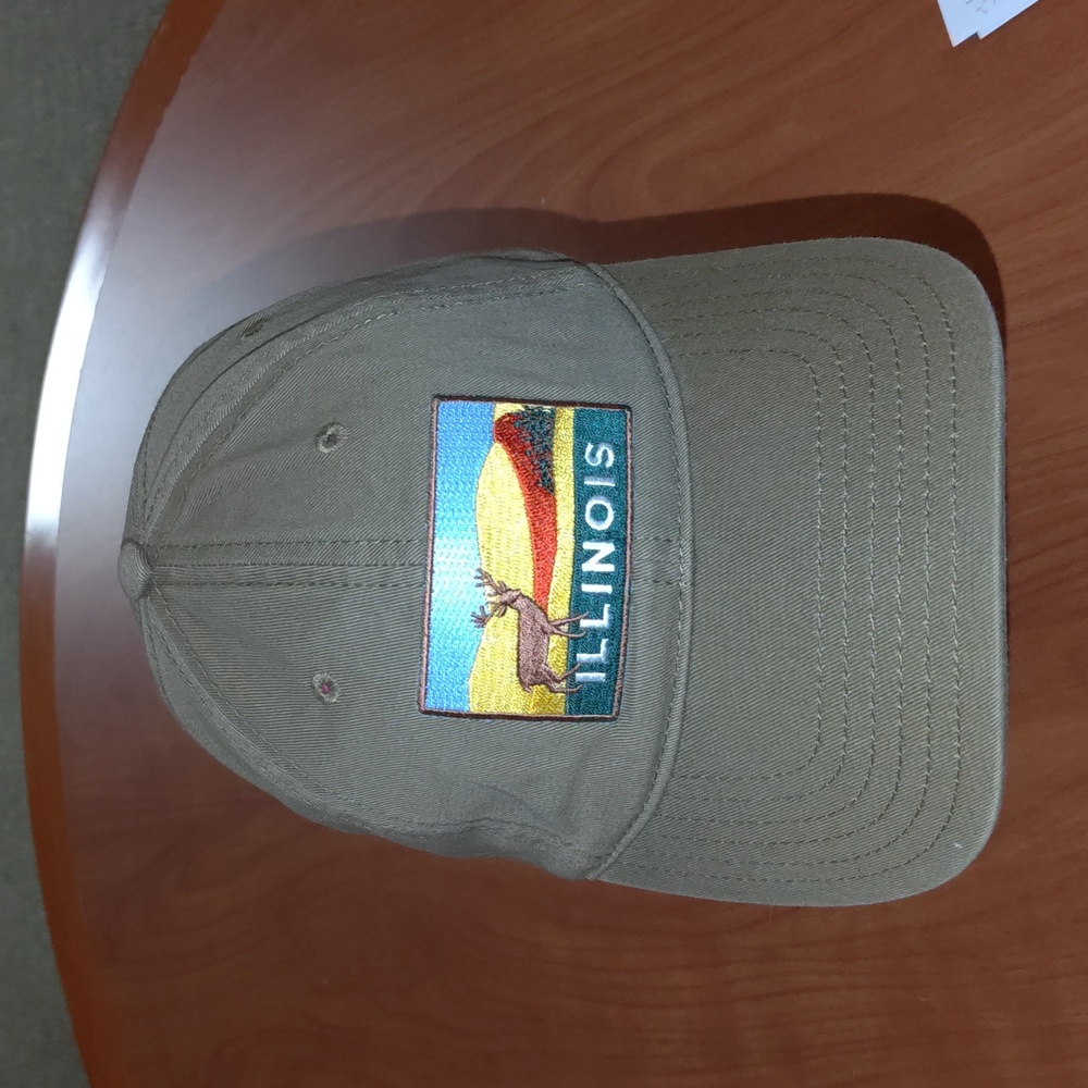 Illinois Stitched Patch Logo Embroidered Strapbac… - image 2